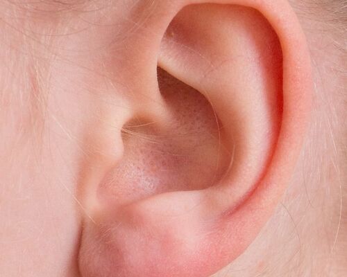 ear-auricle-listen-hearing
