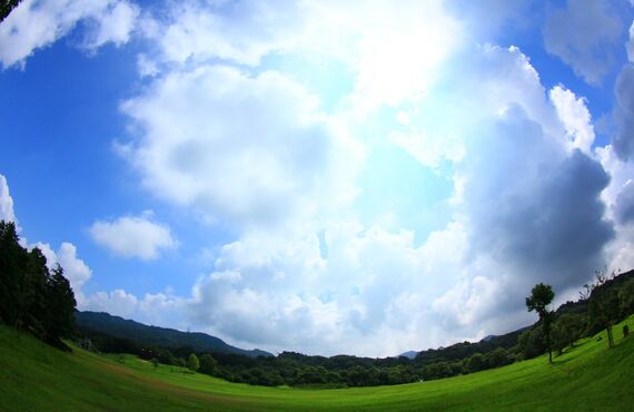 町田のお薬は大吉漢方メル薬局、提携先の鍼灸治療もおすすめ！体質改善がさらに進みます。　